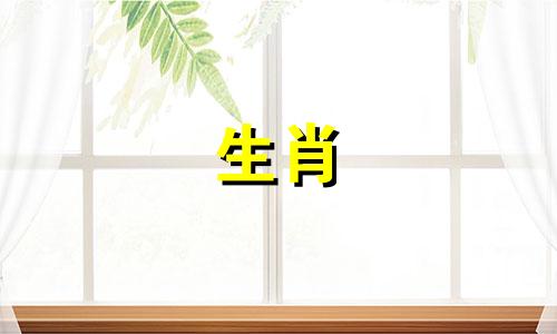 你和属猴的初恋是什么感觉?