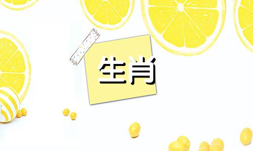 女人属于牛,男人属于蛇吗?