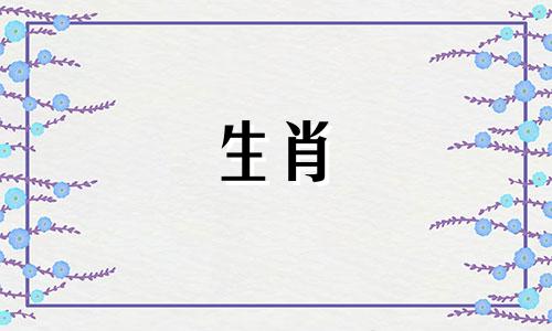 女人属于牛,男人属于羊吗?