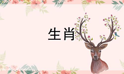 猴男在女生面前有什么表现会加分