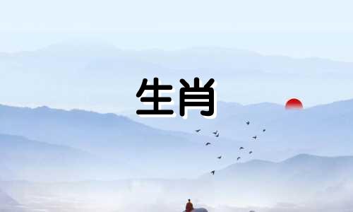 属猴的生命是如何波动的?