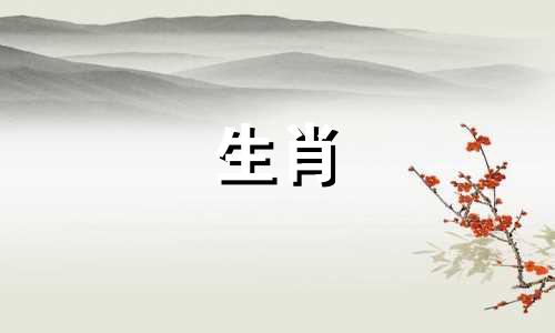 1980年属猴人离婚率猪年下半年好运