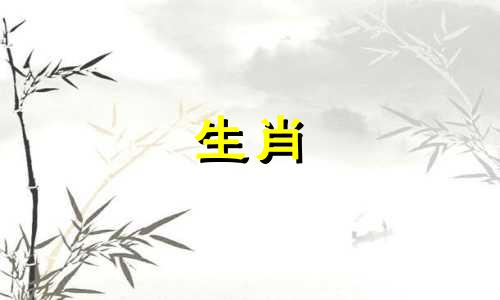 当一个绵羊丈夫发现他的妻子欺骗他时，他会怎么做?