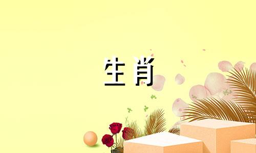 2020年上半年猴年运势分析