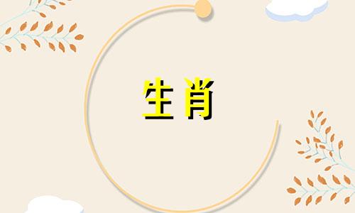 2019年您的业务进展如何