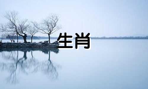 为什么羊的爱情会结束