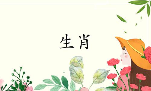 是什么让牧羊女哭泣尖叫