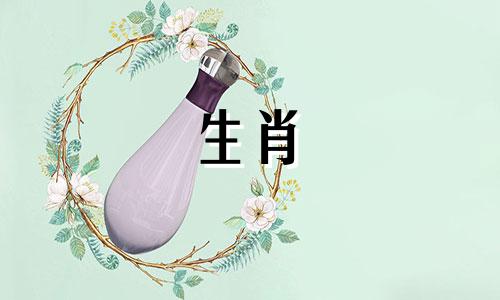 一个牧羊女会把她的未来托付给什么样的人