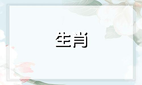 为什么羊女会拒绝疯狂的追求者