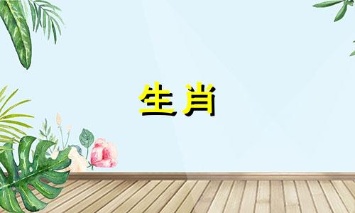 羊女如何应对出轨的丈夫