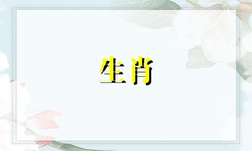 放羊男孩是如何单身的