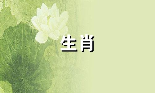 山羊男最看重女孩身体的哪一点?