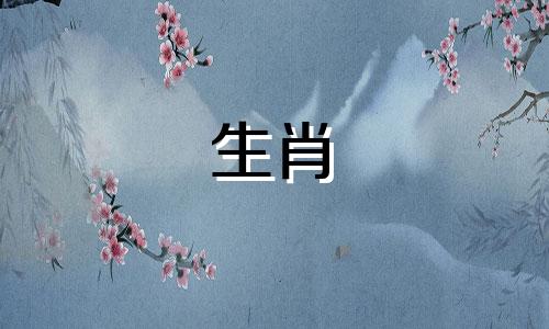 羊身上发生的事情会激发自己的斗志