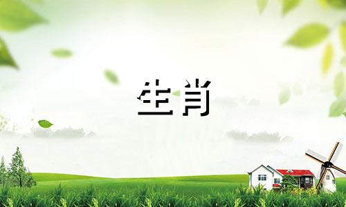 恋爱中什么时候会觉得累?