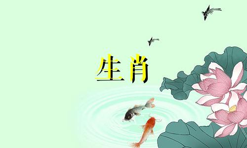 如果羊年出生的女孩不结婚会怎么样?