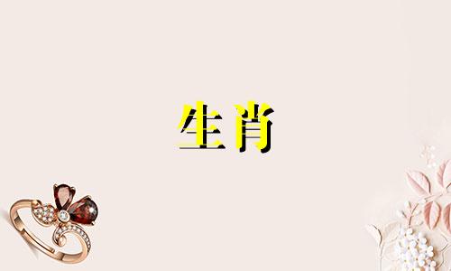 为什么羊不能放下旧爱