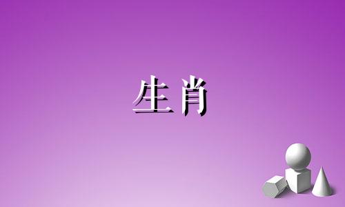 绵羊爱一个人时会做些什么傻事