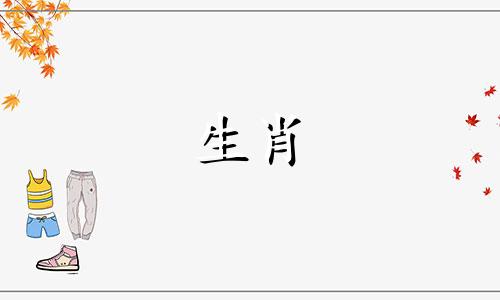 绵羊回到大学后会选择做什么