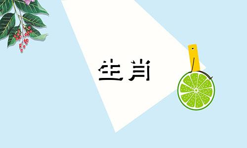 08年是哪一年羊最好的伴侣生活命运