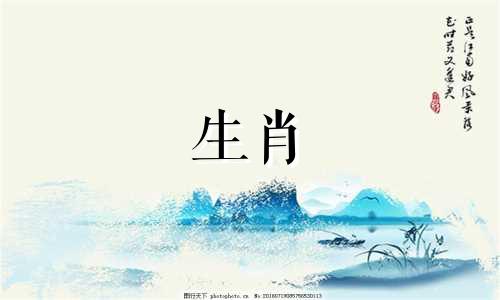 绵羊是如何理解孤独的?