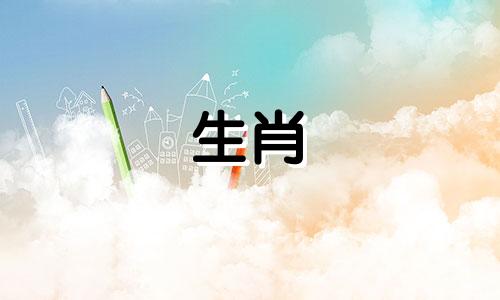 为什么“羊女”对现代男人失望