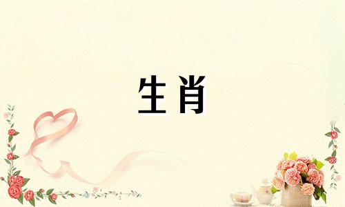 绵羊真的放弃了你的表演