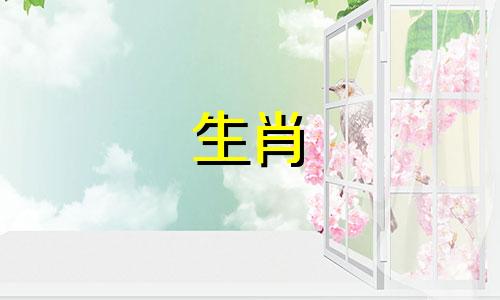 属羊的人今年的运势如何?