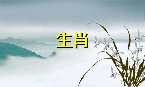 爱羊人最可爱的地方是什么?