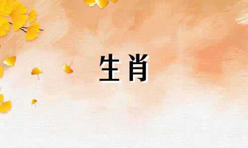 1979年出生的羊2020年运势及旅程