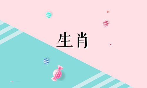 绵羊在你喜欢的人面前是什么样子?