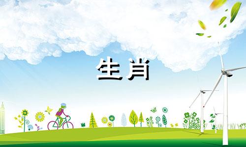 羊因为这些原因总是不敢谈婚论嫁