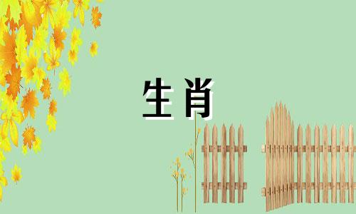 如何做一只绵羊而不迷失在爱情中