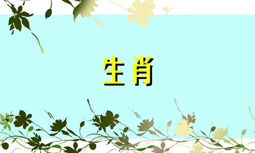 绵羊最忌讳的交配标志分析