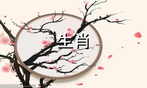 你的山羊前任教会了你什么