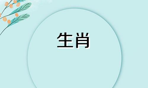 为什么马的爱情会结束