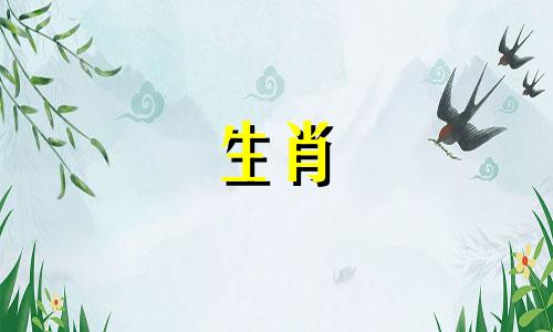 为什么马女人会拒绝疯狂的追求者