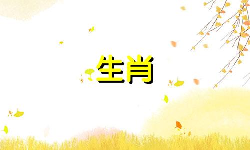 马丈夫如何宠坏他的妻子