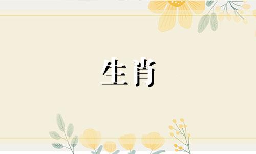 是什么让马女人的婚姻危机倍增