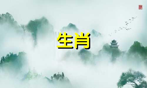 当你是一匹马的时候,爱情是什么样子的?