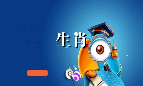 为什么马科男孩喜欢两次约会