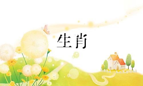 马能从婚姻中学到什么