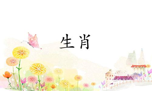 爱情中的骑士有哪些秘密和谎言