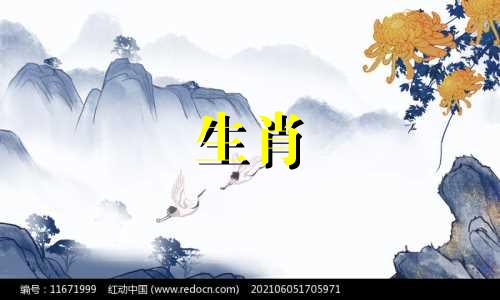 为什么马会失去喜欢人的能力