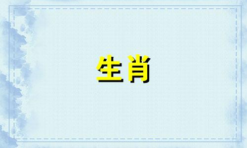 2019年你们的马生意怎么样