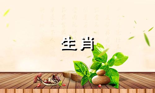 马女友最看重男友身体的哪一点