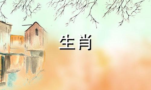 马最不容易接受爱的表达