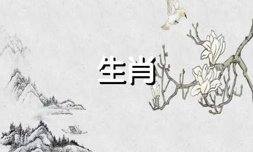 为什么马不能放下旧爱