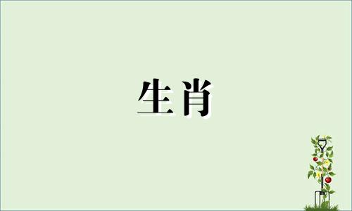 1978年这匹马的生活是怎样的?什么是婚姻?孩子是几月份出生的?