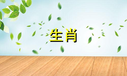 为什么马喜欢用分手来测试对方