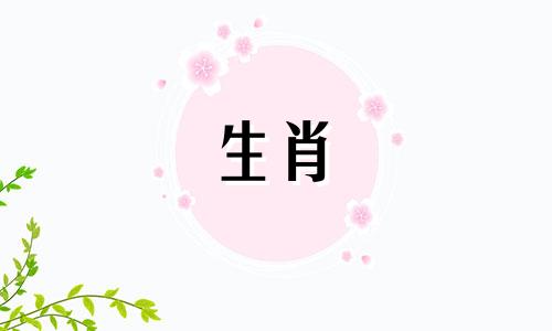 你的马今年运势如何?你的婚姻是什么?